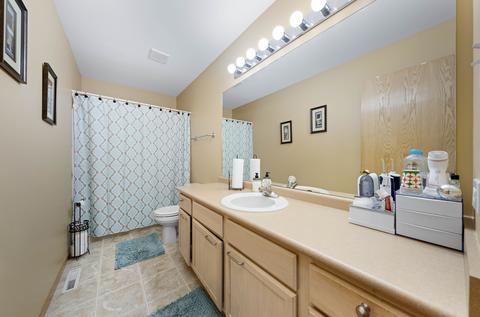 2107 Alpine Way, Plainfield, IL 60586 photo 16
