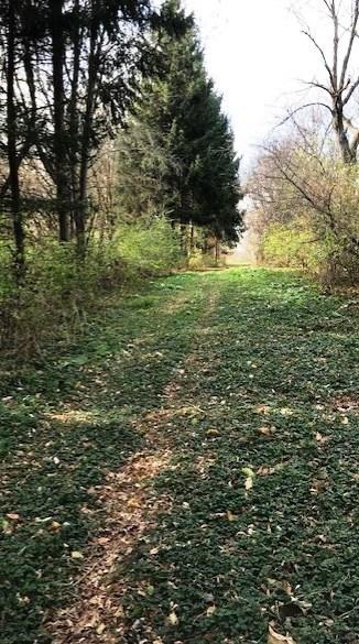 30 W451 Lysle Rd, Wayne, IL 60184 photo 35