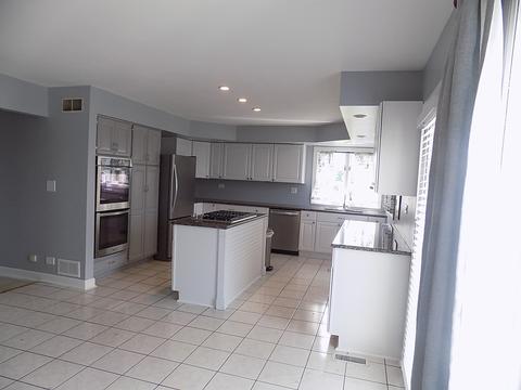 3231 Oregon Trl, Olympia Fields, IL 60461 photo 6