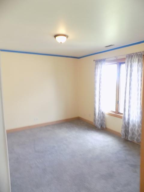 3231 Oregon Trl, Olympia Fields, IL 60461 photo 32
