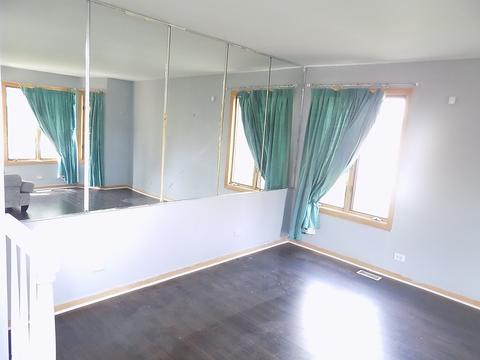 3231 Oregon Trl, Olympia Fields, IL 60461 photo 19