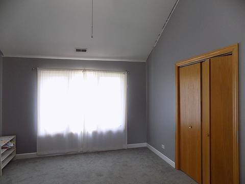 3231 Oregon Trl, Olympia Fields, IL 60461 photo 22