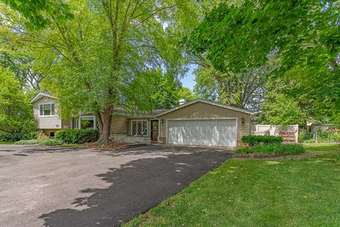 441 Locust Ln, Roselle, IL 60172 photo 30