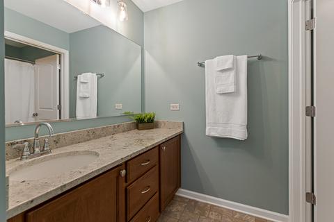 3620 Waterscape Ter, Elgin, IL 60124 photo 29
