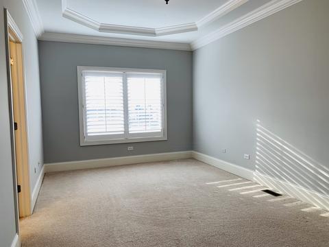 540 Eagle Brook Ln, Naperville, IL 60565 photo 23