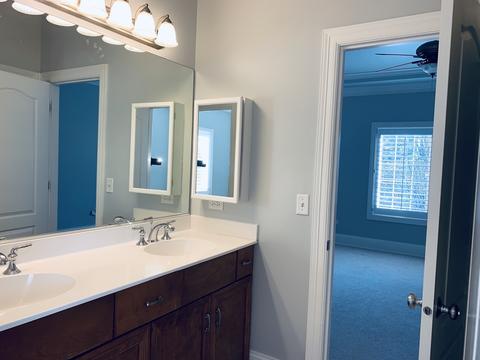 540 Eagle Brook Ln, Naperville, IL 60565 photo 22