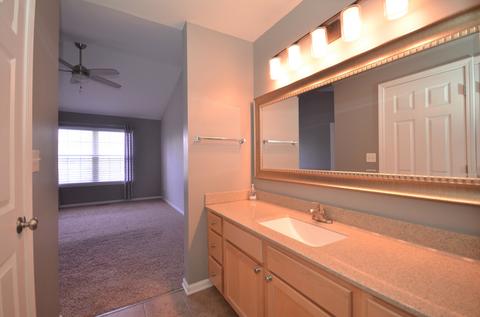 2811 Gypsum Cir, Naperville, IL 60564 photo 14