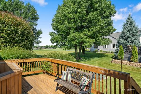 21112 Buckeye Ct, Plainfield, IL 60544 photo 22