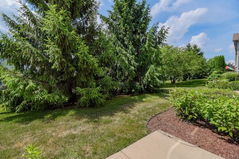 24215 Walnut Cir, Plainfield, IL 60585 photo 15