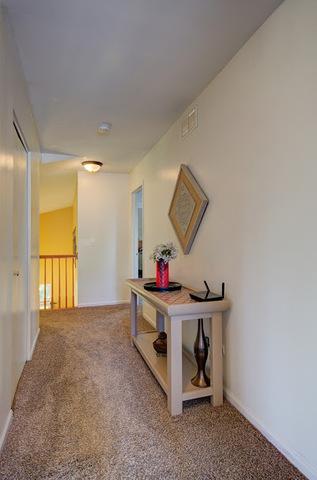 6817 Sahara Dr, Plainfield, IL 60586 photo 30