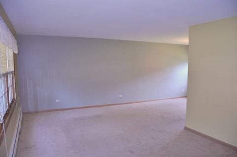 1440 Easy St, Elgin, IL 60123 photo 6
