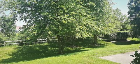 1471 Millbrook Dr, Algonquin, IL 60102 photo 22