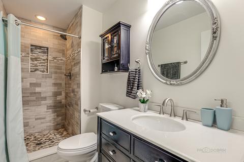 509 Jon Ln, Des Plaines, IL 60016 photo 20