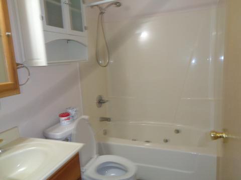 3508 Union Ave, Steger, IL 60475 photo 9