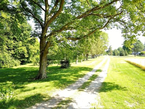 425 E Southmor Rd, Morris, IL 60450 photo 11