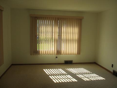 919 S Elm Ave, Kankakee, IL 60901 photo 8