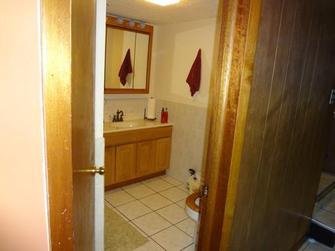 245 N Wolf Rd, Hillside, IL 60162 photo 8