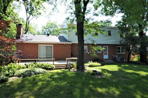 126 S Maple Ave, Hillside, IL 60162 photo 4