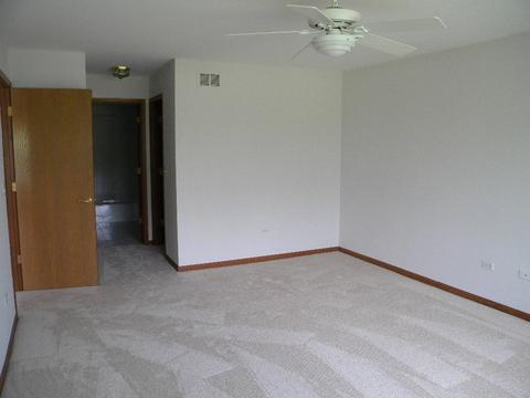 13412 Redberry Cir, Plainfield, IL 60544 photo 26