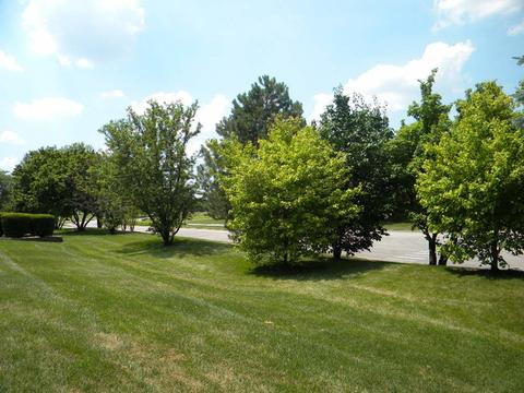 13412 Redberry Cir, Plainfield, IL 60544 photo 4