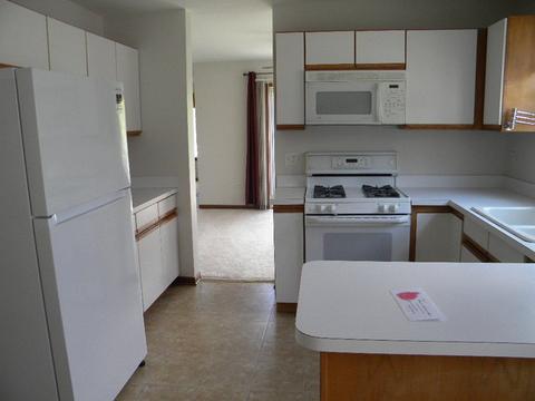 13412 Redberry Cir, Plainfield, IL 60544 photo 20