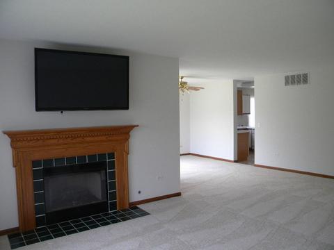 13412 Redberry Cir, Plainfield, IL 60544 photo 12