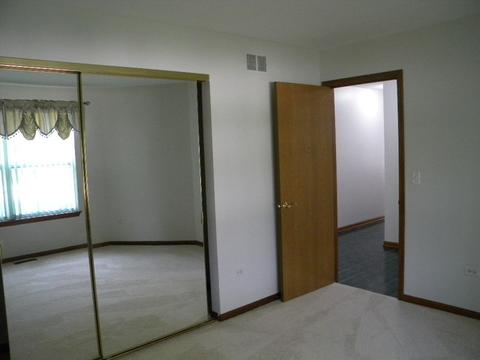 13412 Redberry Cir, Plainfield, IL 60544 photo 10