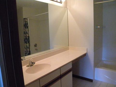 13412 Redberry Cir, Plainfield, IL 60544 photo 27