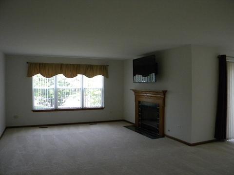 13412 Redberry Cir, Plainfield, IL 60544 photo 11