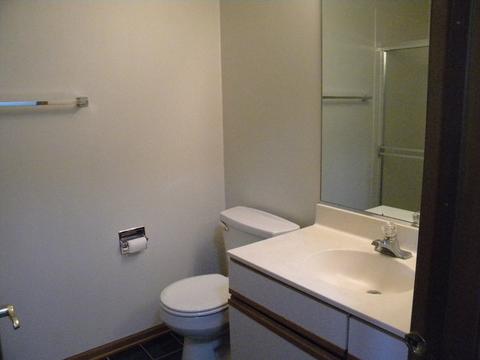 13412 Redberry Cir, Plainfield, IL 60544 photo 17