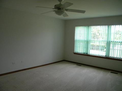 13412 Redberry Cir, Plainfield, IL 60544 photo 25