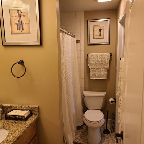 890 Sheldon Ct #C, Wheaton, IL 60189 photo 15