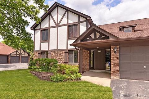 890 Sheldon Ct #C, Wheaton, IL 60189 photo 1