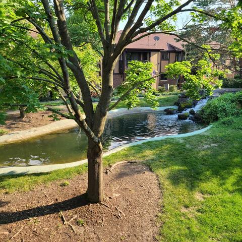 890 Sheldon Ct #C, Wheaton, IL 60189 photo 3