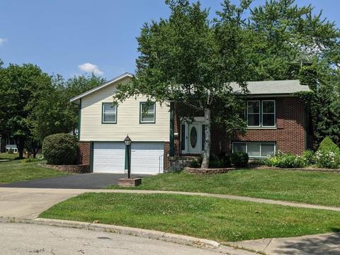4143 N Firestone Ct, Hoffman Estates, IL 60192 photo 1
