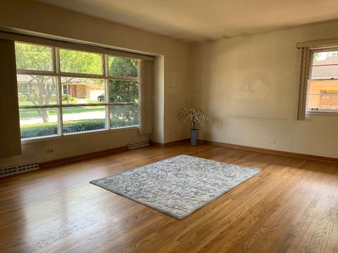 314 E Madison St, Elmhurst, IL 60126 photo 3