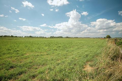 1204 W County Line Rd, Beecher, IL 60401 photo 30