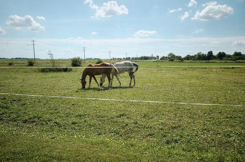 1204 W County Line Rd, Beecher, IL 60401 photo 28