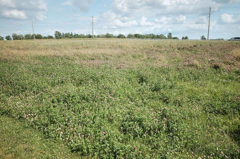1204 W County Line Rd, Beecher, IL 60401 photo 32
