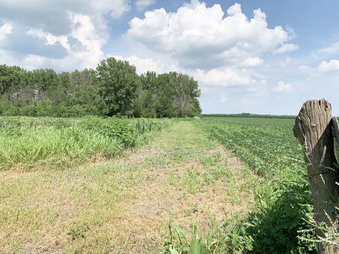 408 E Roosevelt Ave, Onarga, IL 60955 photo 36