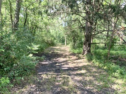 408 E Roosevelt Ave, Onarga, IL 60955 photo 39