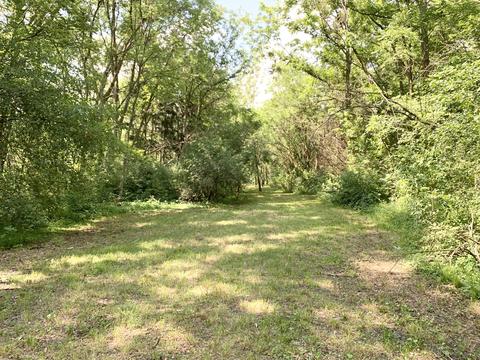 408 E Roosevelt Ave, Onarga, IL 60955 photo 41
