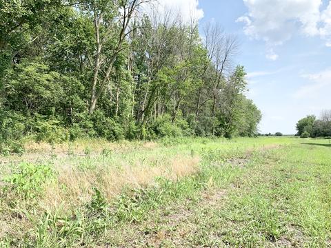 408 E Roosevelt Ave, Onarga, IL 60955 photo 33