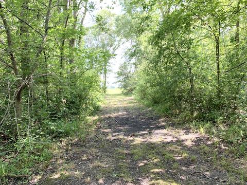 408 E Roosevelt Ave, Onarga, IL 60955 photo 40