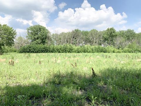 408 E Roosevelt Ave, Onarga, IL 60955 photo 34