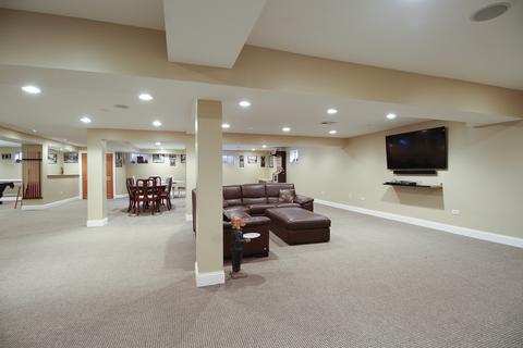8454 S Park Ave, Burr Ridge, IL 60527 photo 29