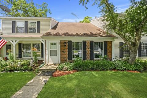 64 Silver Tree Cir, Cary, IL 60013 photo 1