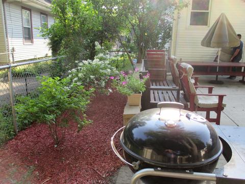 1053 Bellevue Ave, Elgin, IL 60120 photo 10