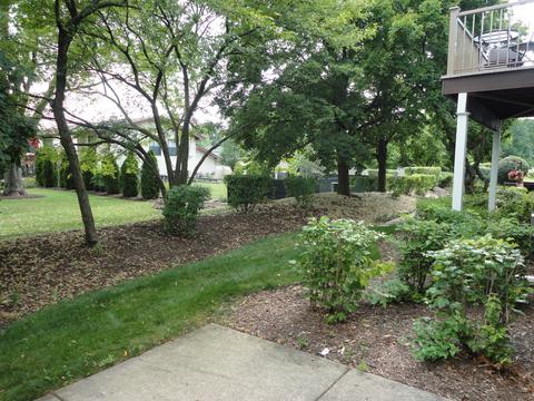 272 Wildspring Ct, Itasca, IL 60143 photo 31