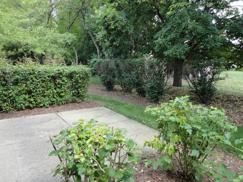 272 Wildspring Ct, Itasca, IL 60143 photo 30